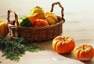 秋季英雄人  第3张