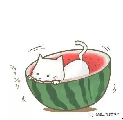 黑料吃瓜网apk普通安装  第3张