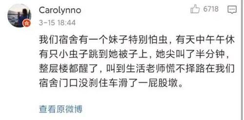 惊魂宿舍游戏手机版 