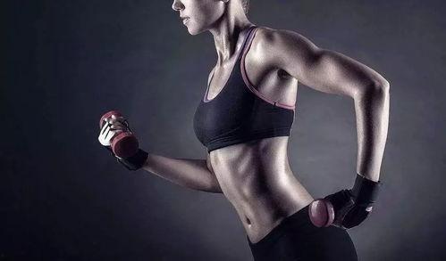 知本随身录音机  第2张