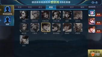 王者荣耀极光辅助  第2张